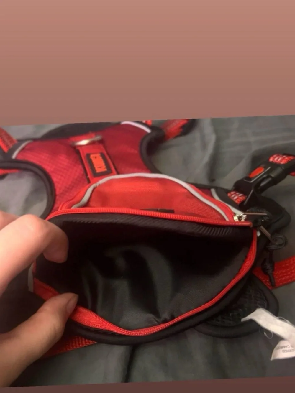 Kong durable harness